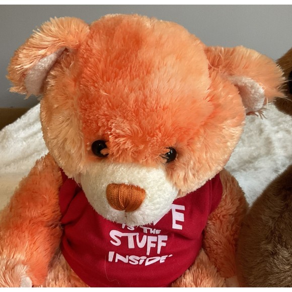 Build A Bear Workshop Orange Bear & Bear 15” Stuffed Animals W/ Clothes. Read - Picture 5 of 10